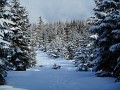 DSCN0170