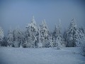 DSCN0204