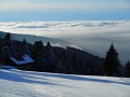 DSCN0207
