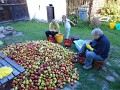 DSCN3318