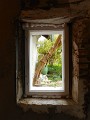 DSCN3326