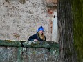 DSCN0399