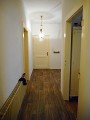 DSCN0358