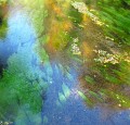 IMG_0086