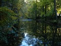 IMG_0117