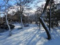 DSCN3712