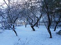 DSCN3720