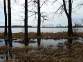 DSCN0495