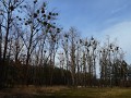DSCN0505