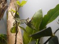 DSCN2312