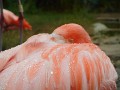 DSCN2340