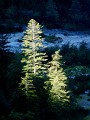 DSCN2637