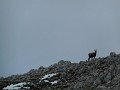DSCN2755