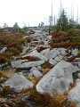 DSCN2902