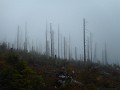 DSCN2919