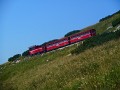 DSCN1860