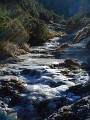 DSCN3385