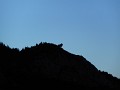 DSCN3436