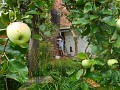 DSCN1566