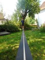 DSCN1599