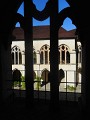 DSCN1729